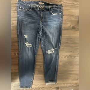 Torrid jeans